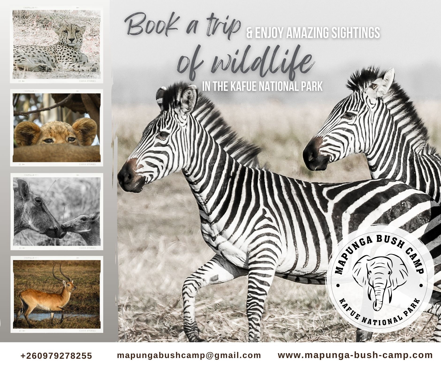 As part of our activity packages... - Mapunga Bush Camp | Facebook