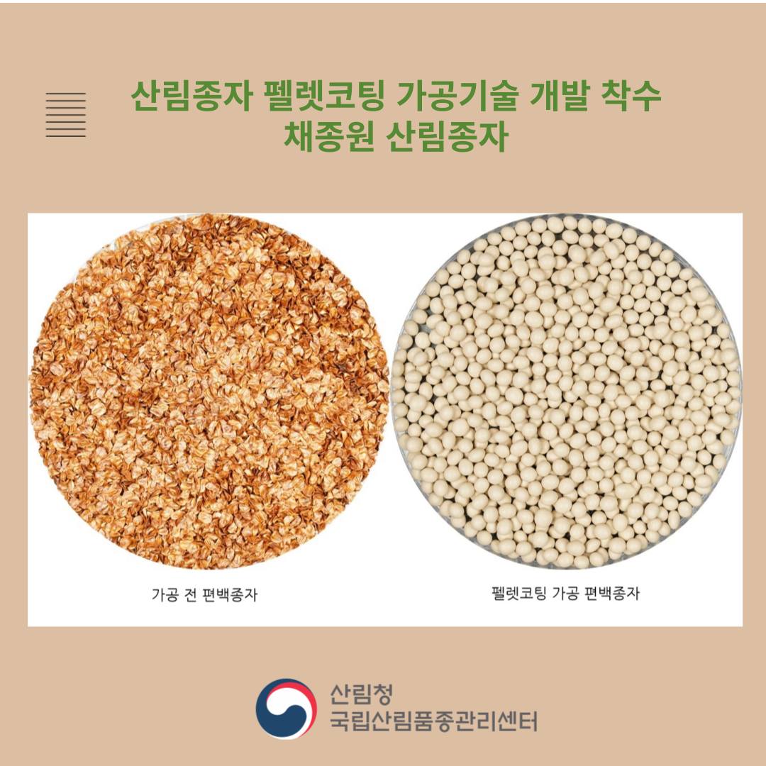 국립산림품종관리센터 - 산림종자 펠렛코팅 가공기술 개발 착수 -산림종자 양묘환경 개선을 위한 산림종자... | Facebook
