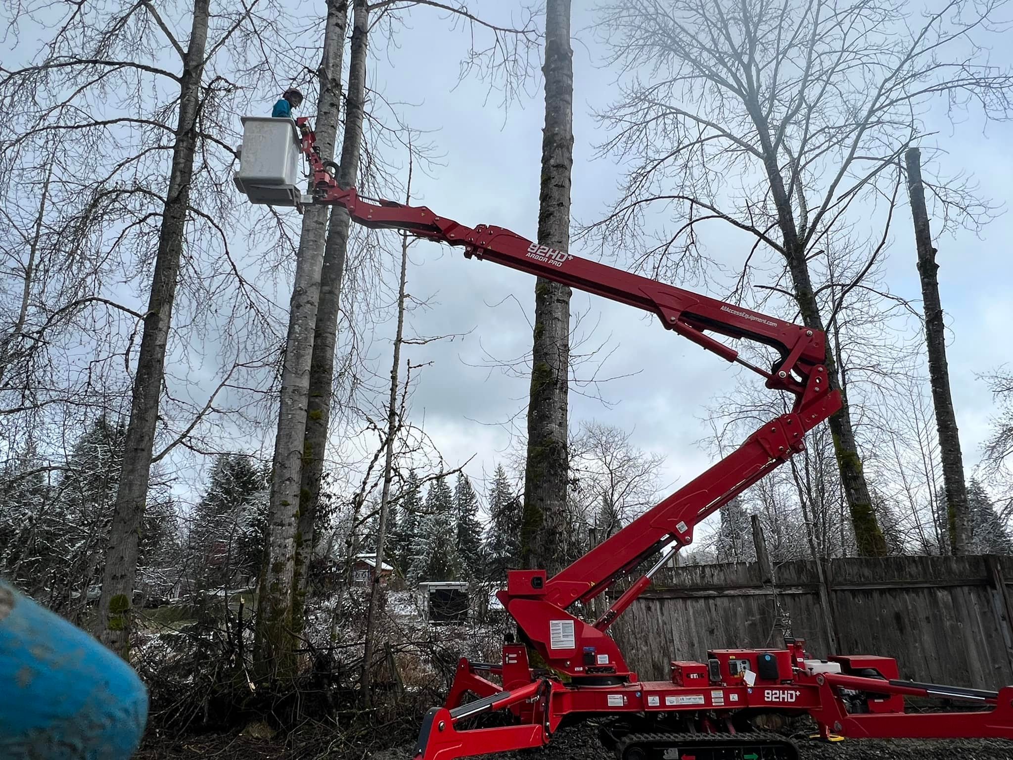 Webster’s Tree Service | Snohomish WA