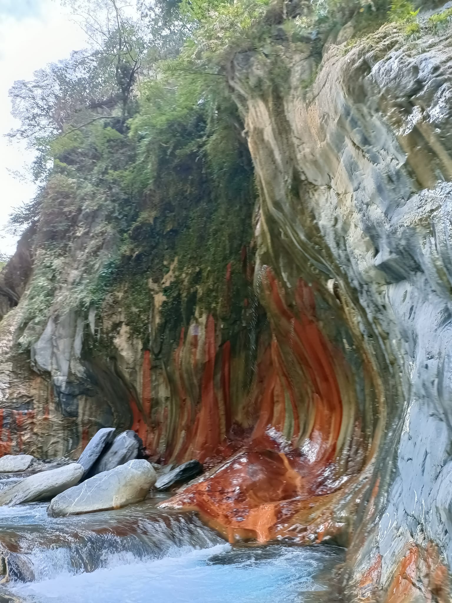 台湾旅遊足跡 - 台湾旅遊足跡 added a new photo — at 胡國雄古早麵.