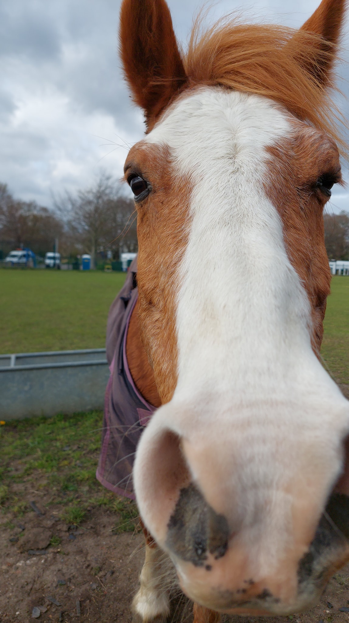 WE NEED YOU! Do... - The Diamond Centre for Disabled Riders | Facebook