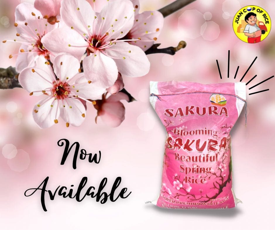 📣New Stock Alert📣 🌸SAKURA is BACK🌸... - Juan Cup Of Rice | Facebook