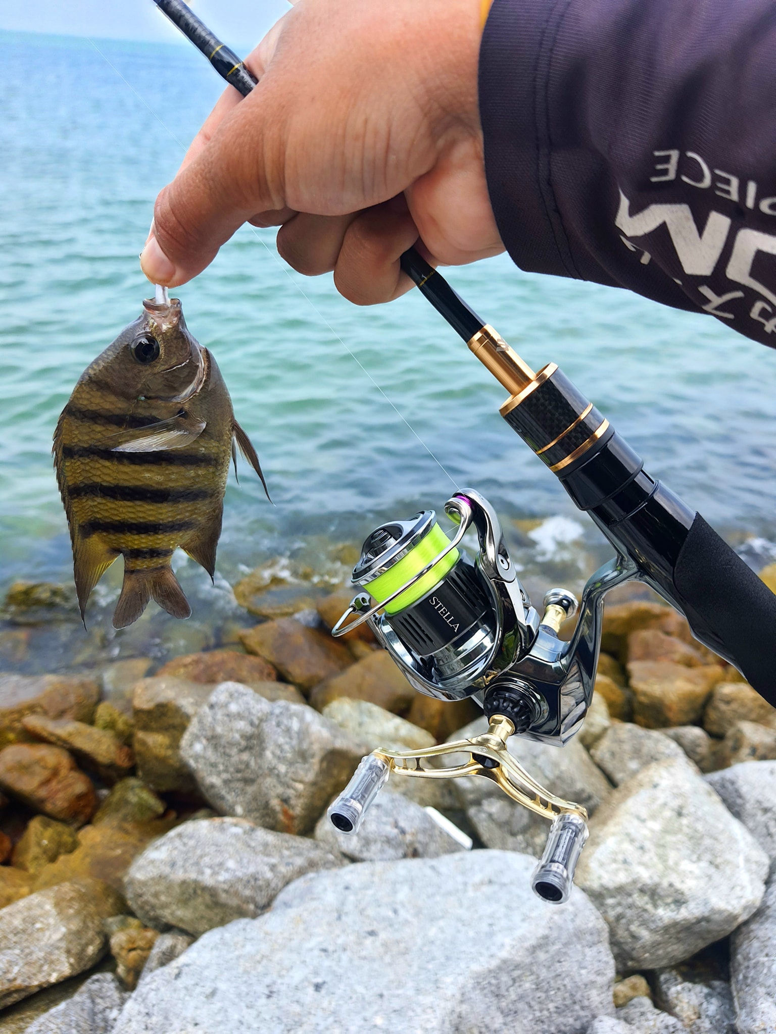Testing new SP Rod : 34 ThirtyFour Advancement HSR-63 Ver.3 Reel