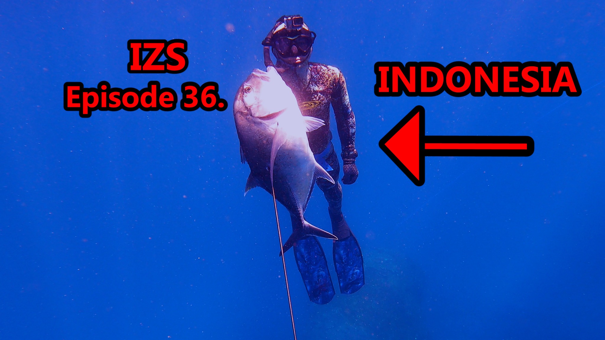 Impact Zone Spearfishing