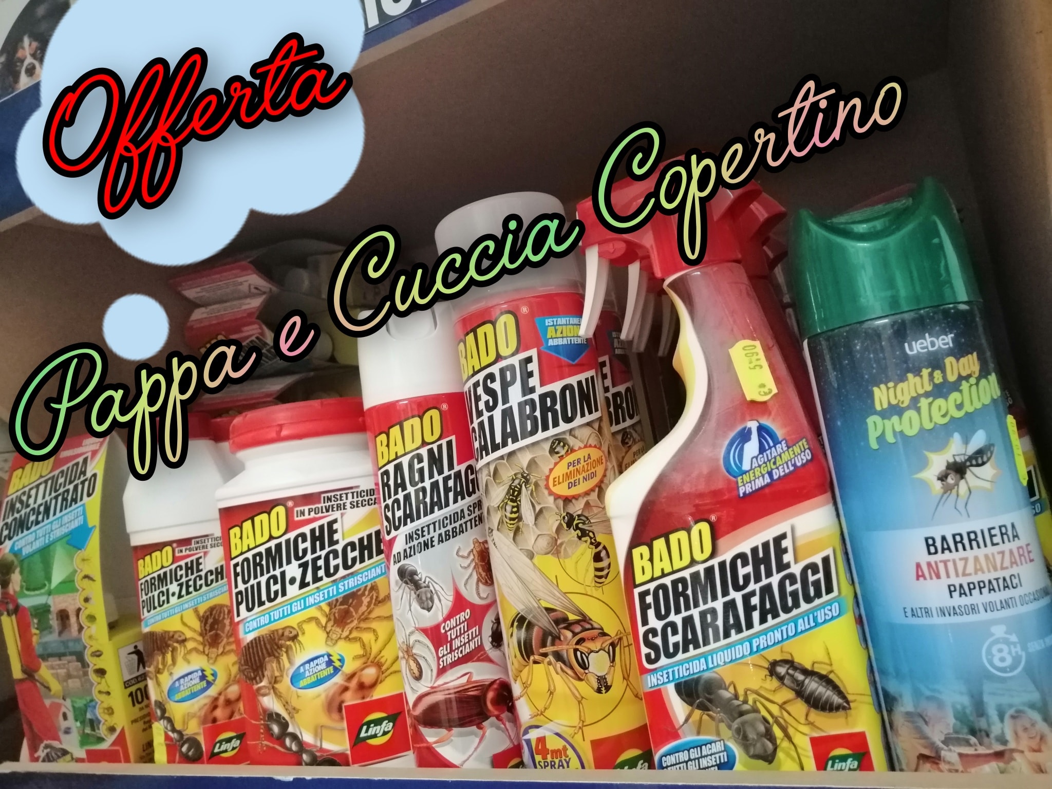 Pappa e Cuccia - OFFERTISSIMA... Arriva il momento in cui...