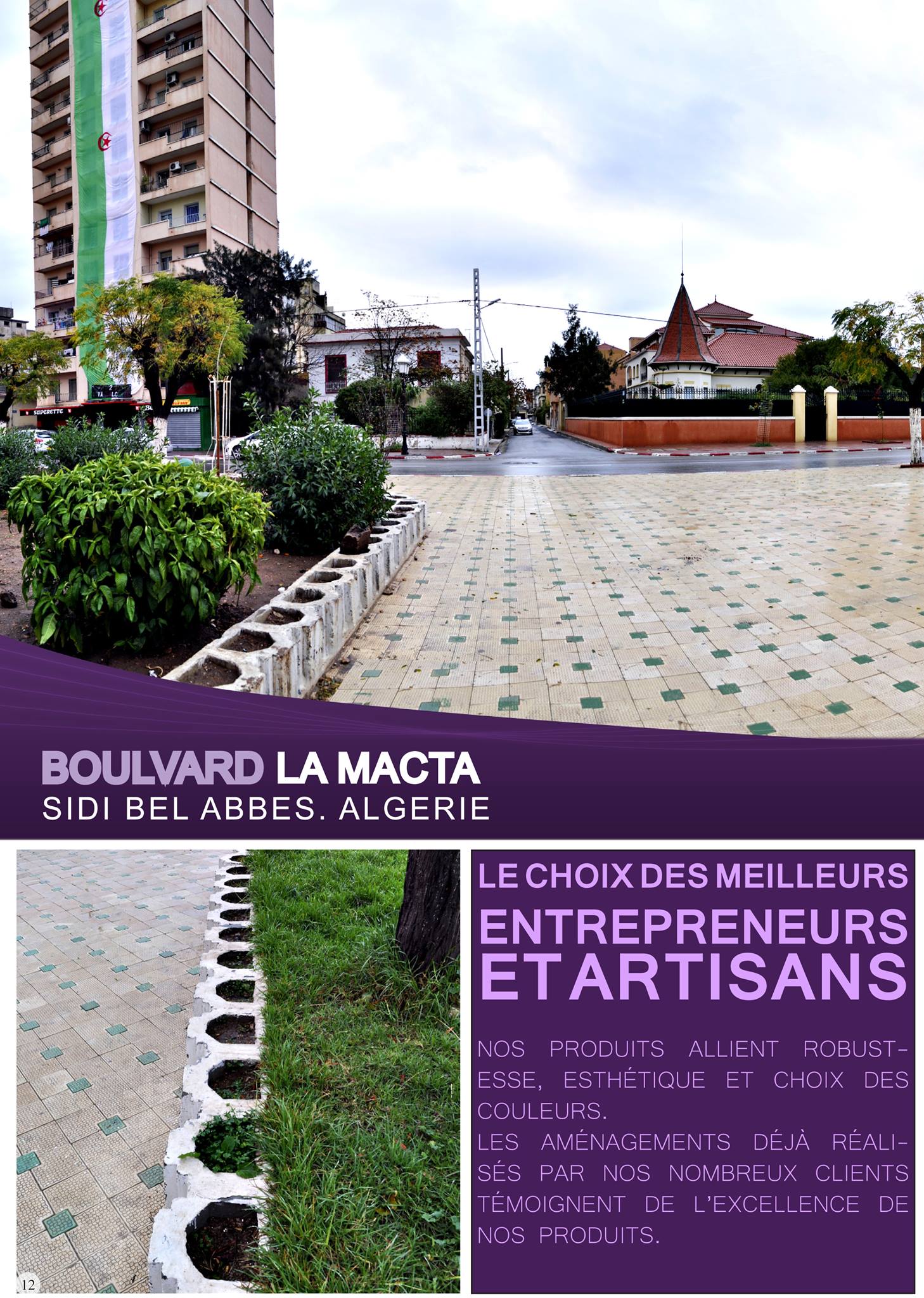 SARL MACTA Building | Sidi Bel Abbès