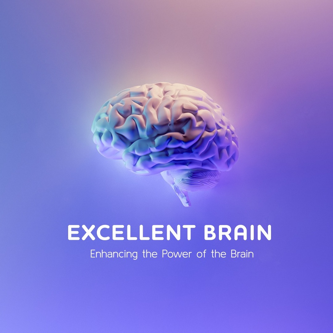 Excellent Brain - The brain training home kit provides you with the ...