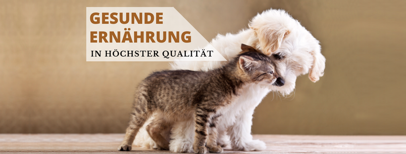 Pflugel: halb Pferd -... - Pflugel: halb Pferd - halb Kugel