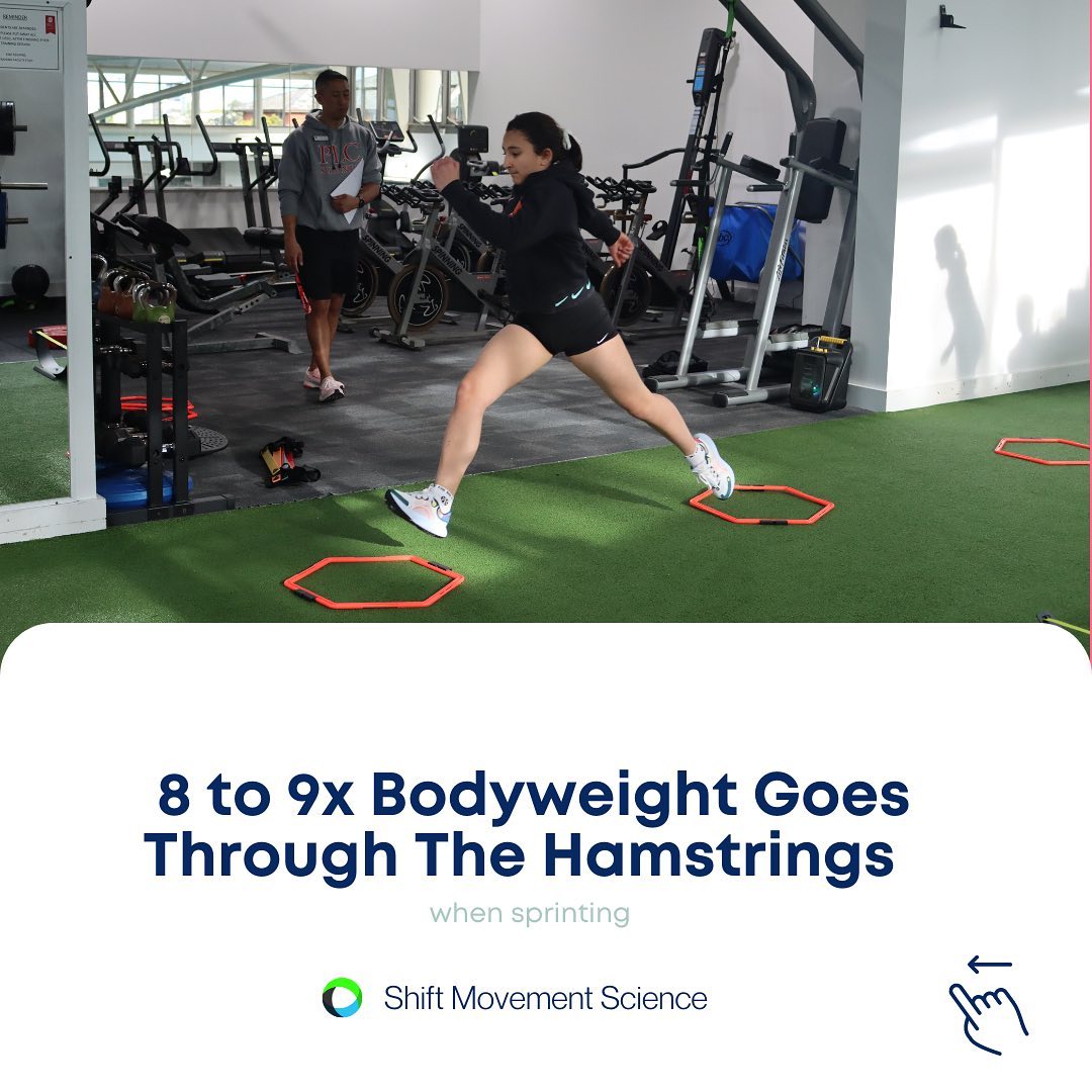 SHIFT... - SHIFT Movement Science and Gymnastics Education