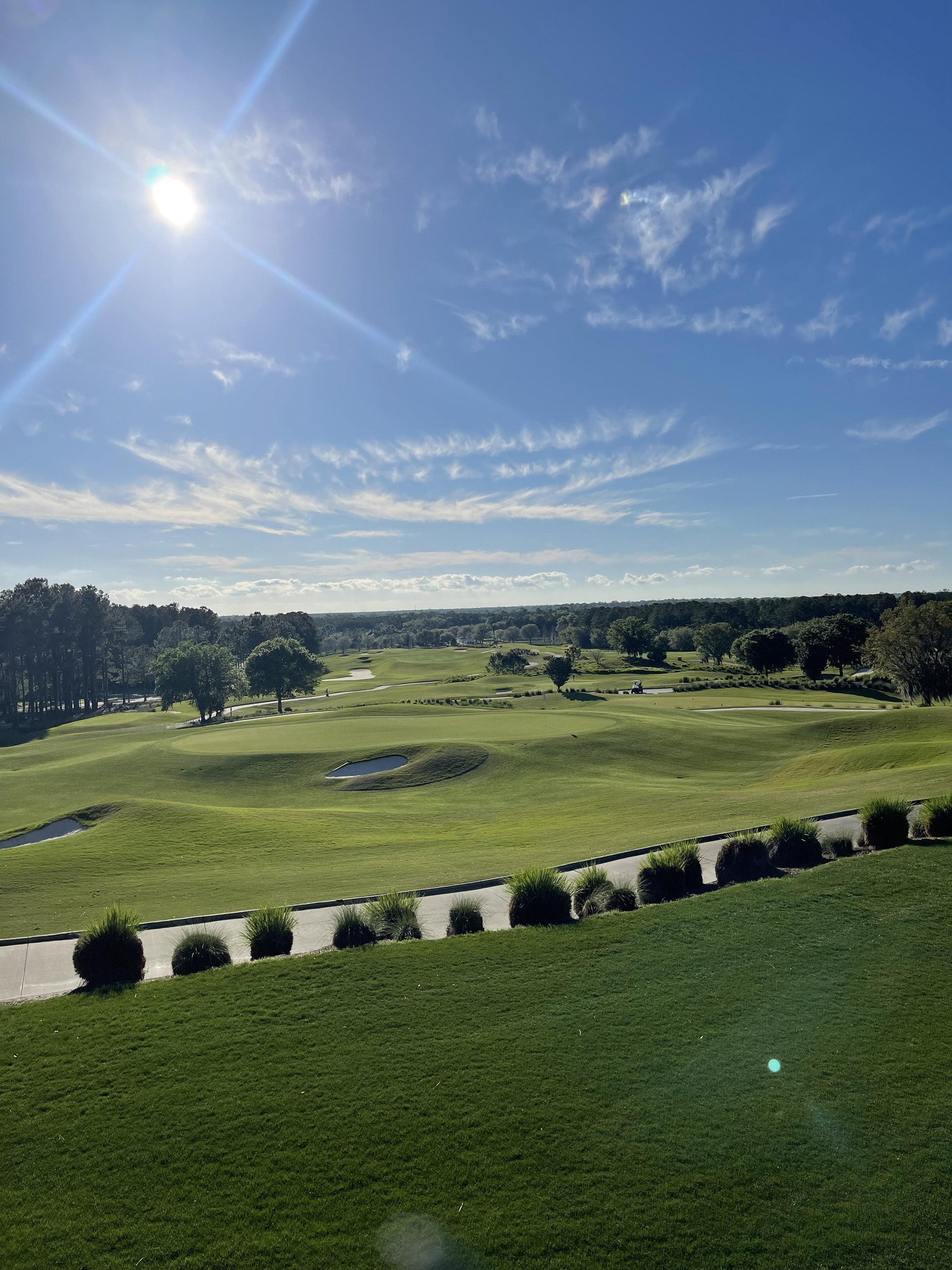 TED RHODES FOUNDATION, INC.... - TED RHODES FOUNDATION, INC.