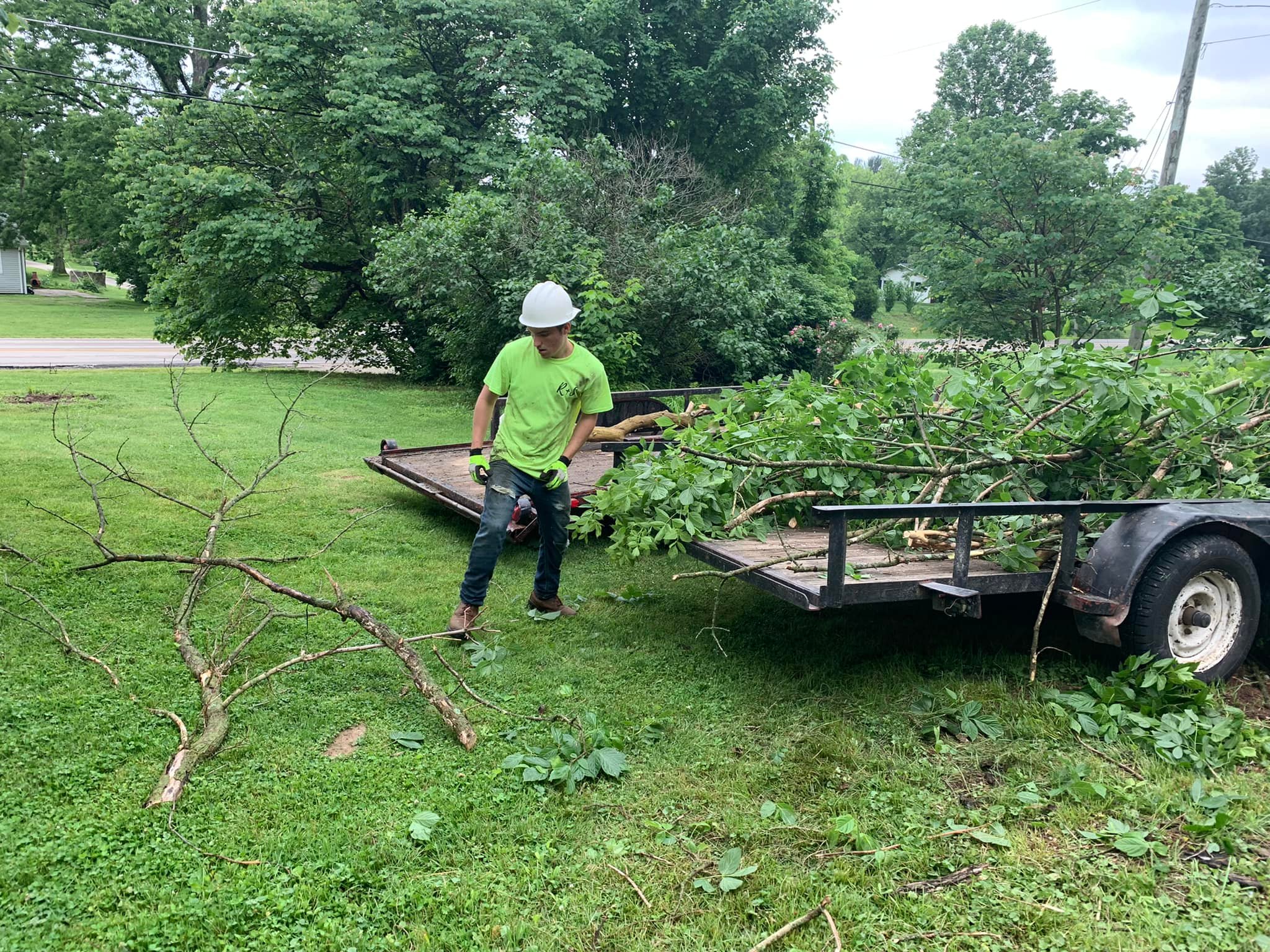 Riggle & Sons Tree Care Service LLC