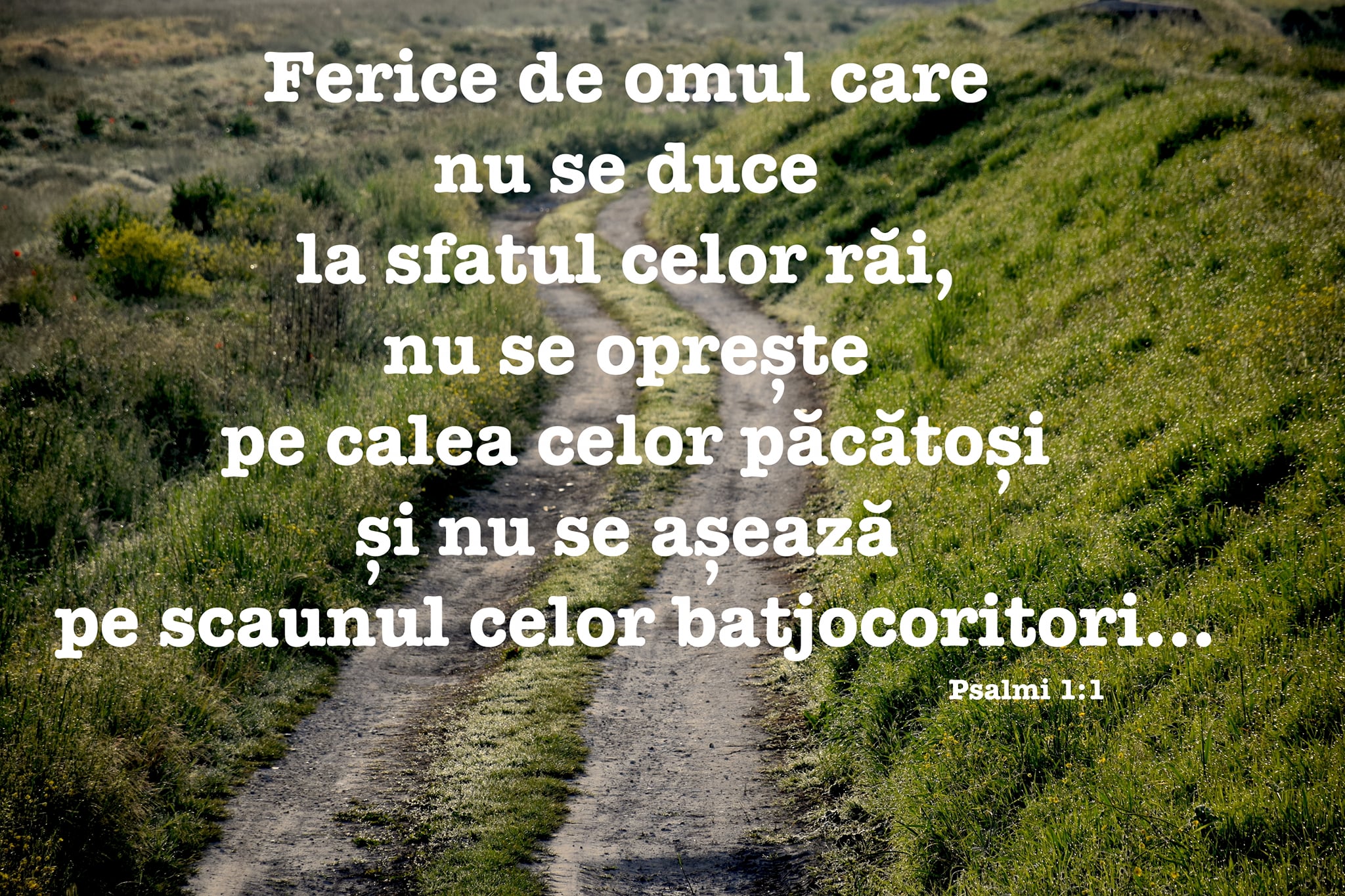 Ferice de omul care nu se duce... - Versete Biblice SI FLORI