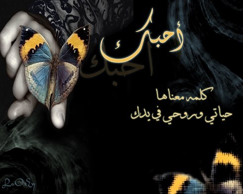 مدينة العشاق احبك كلمة معناها حياتي وروحي في يدك Facebook