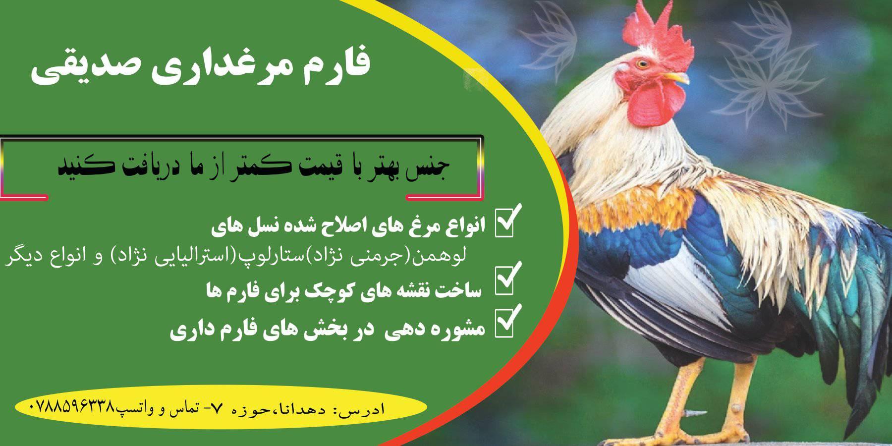 فروشی 0731515700 #فارم_مالداری_صفا | فارم مالداری صفا