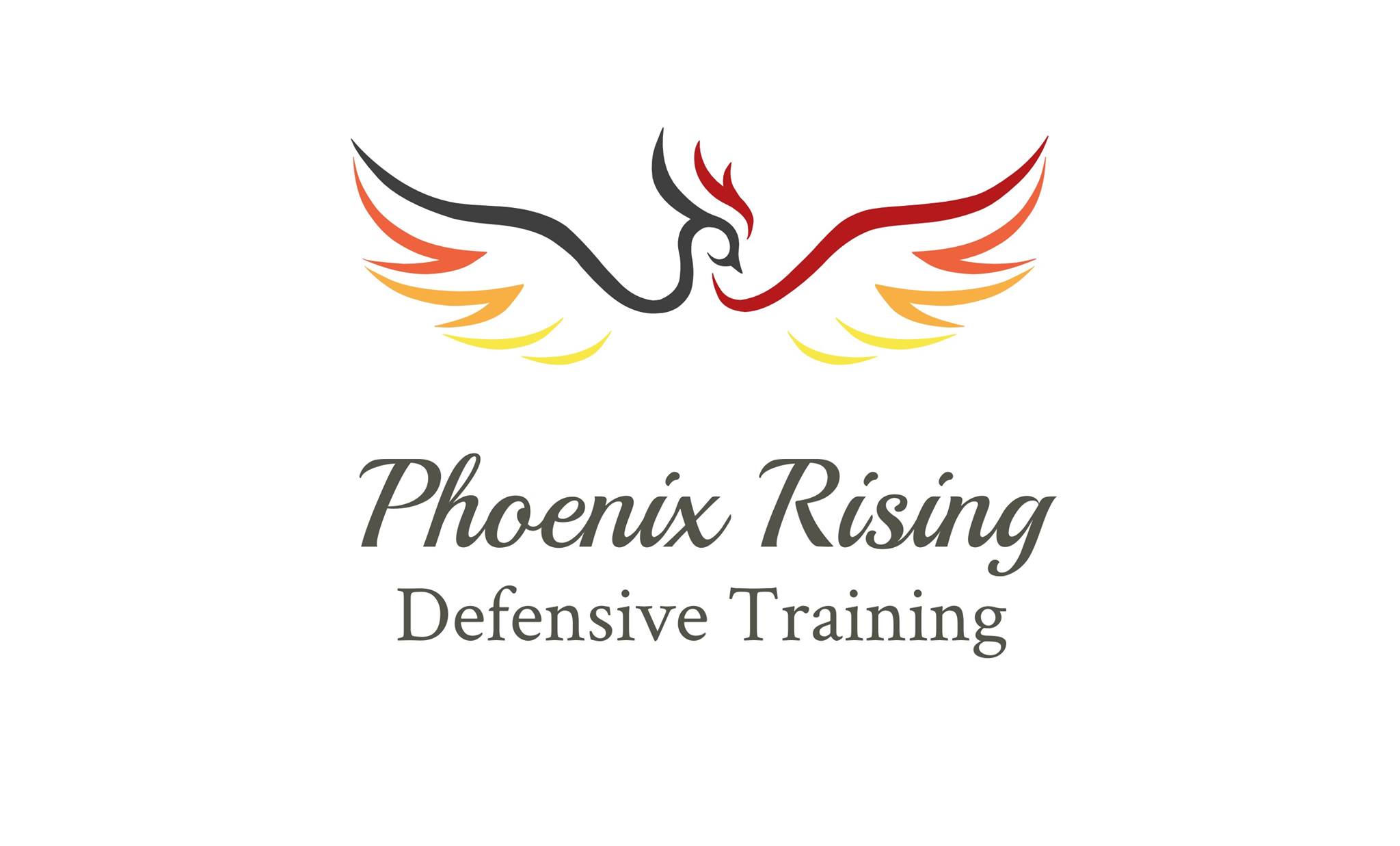 Phoenix Rising Defensive Training | Carol Stream IL