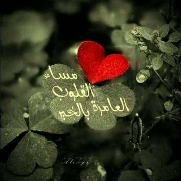 امی وابی