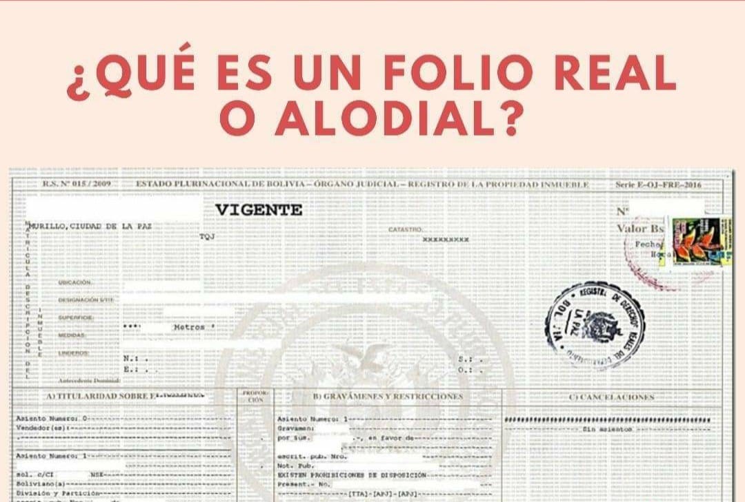 Alodial Significado