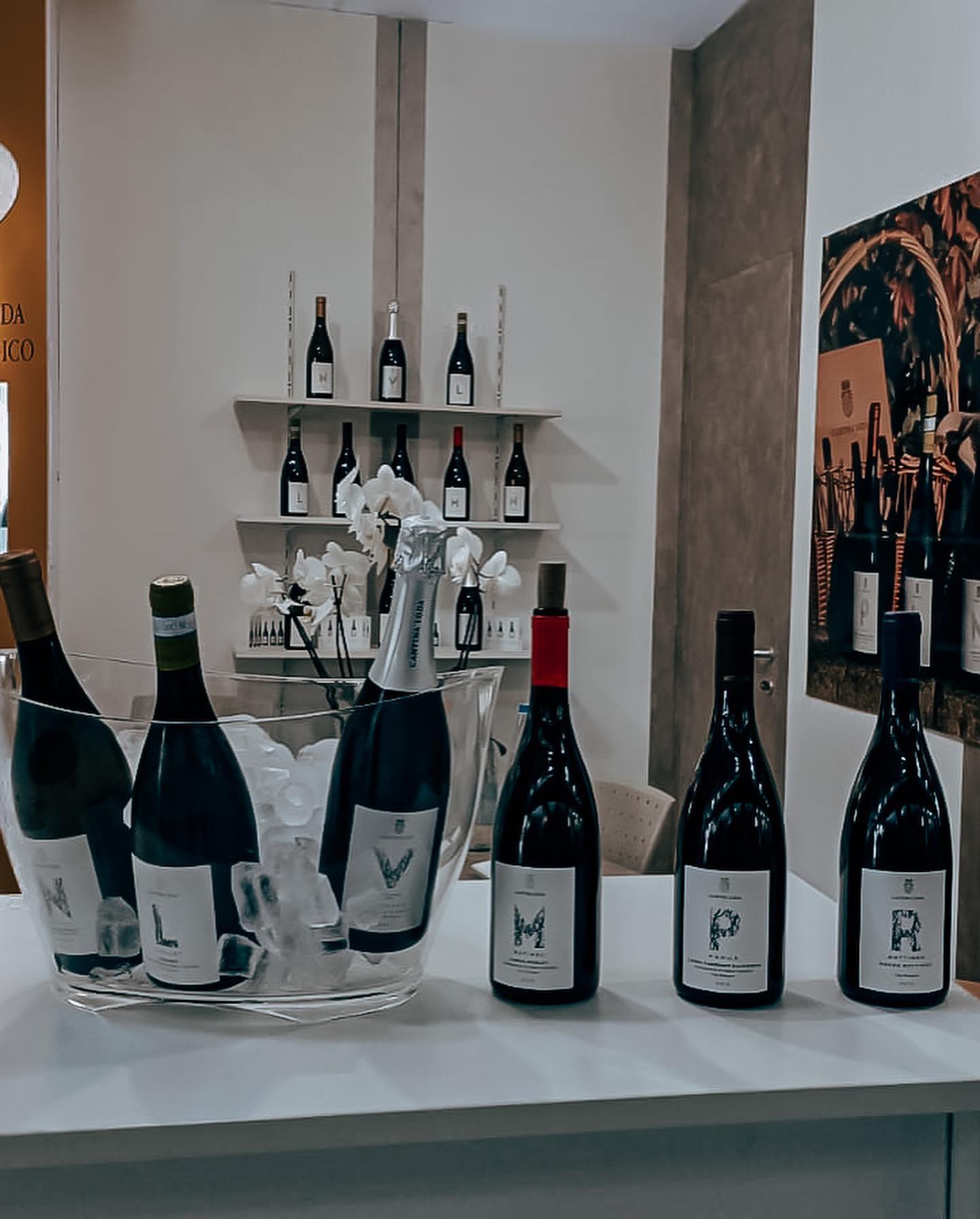 Wine Boutique Lago di Garda | Peschiera del Garda