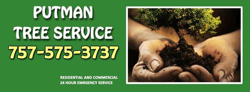 Putman Tree Service | Virginia Beach VA