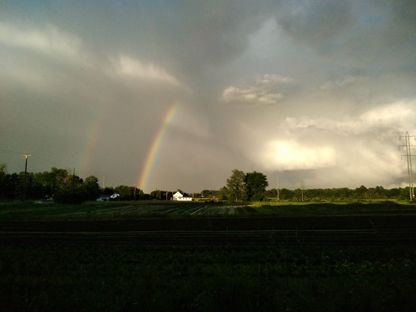 Freedom Rains Farm | Pulaski NY
