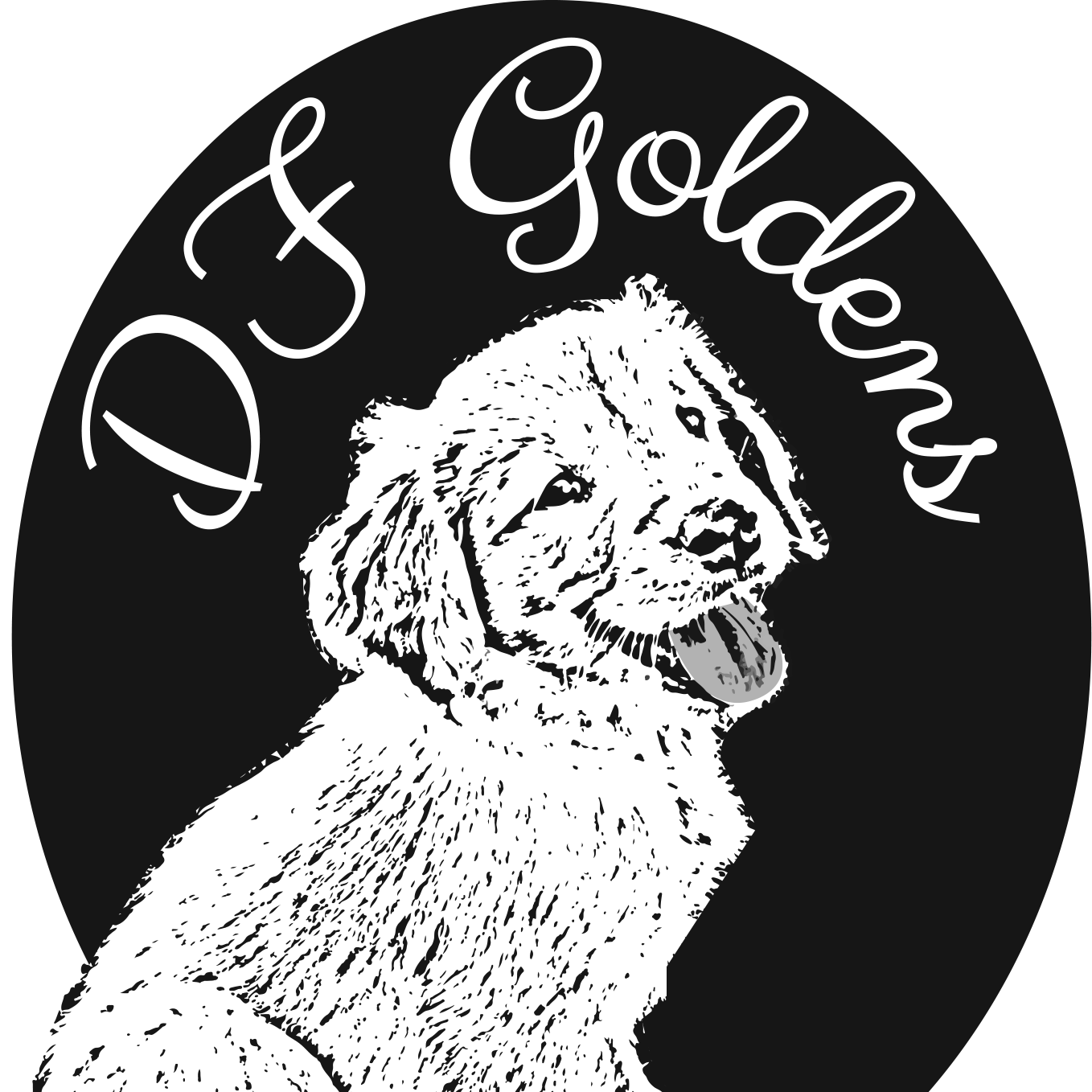 This pup's got moves. | Dudgeon Family Golden's