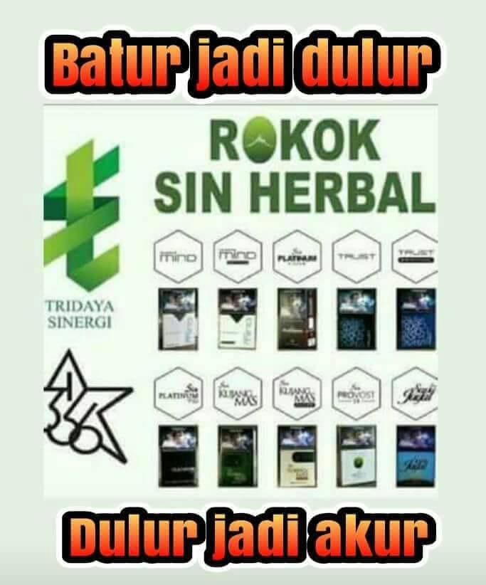 Distributor Rokok Herbal Sine