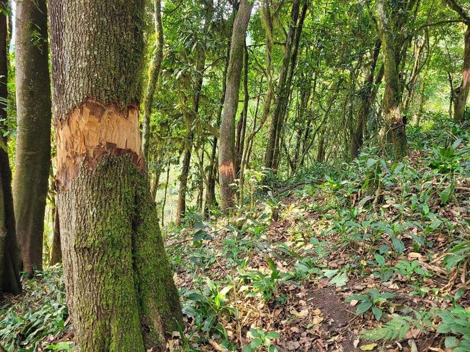 We have to create and transfer a joyful and sustainable environment to ...