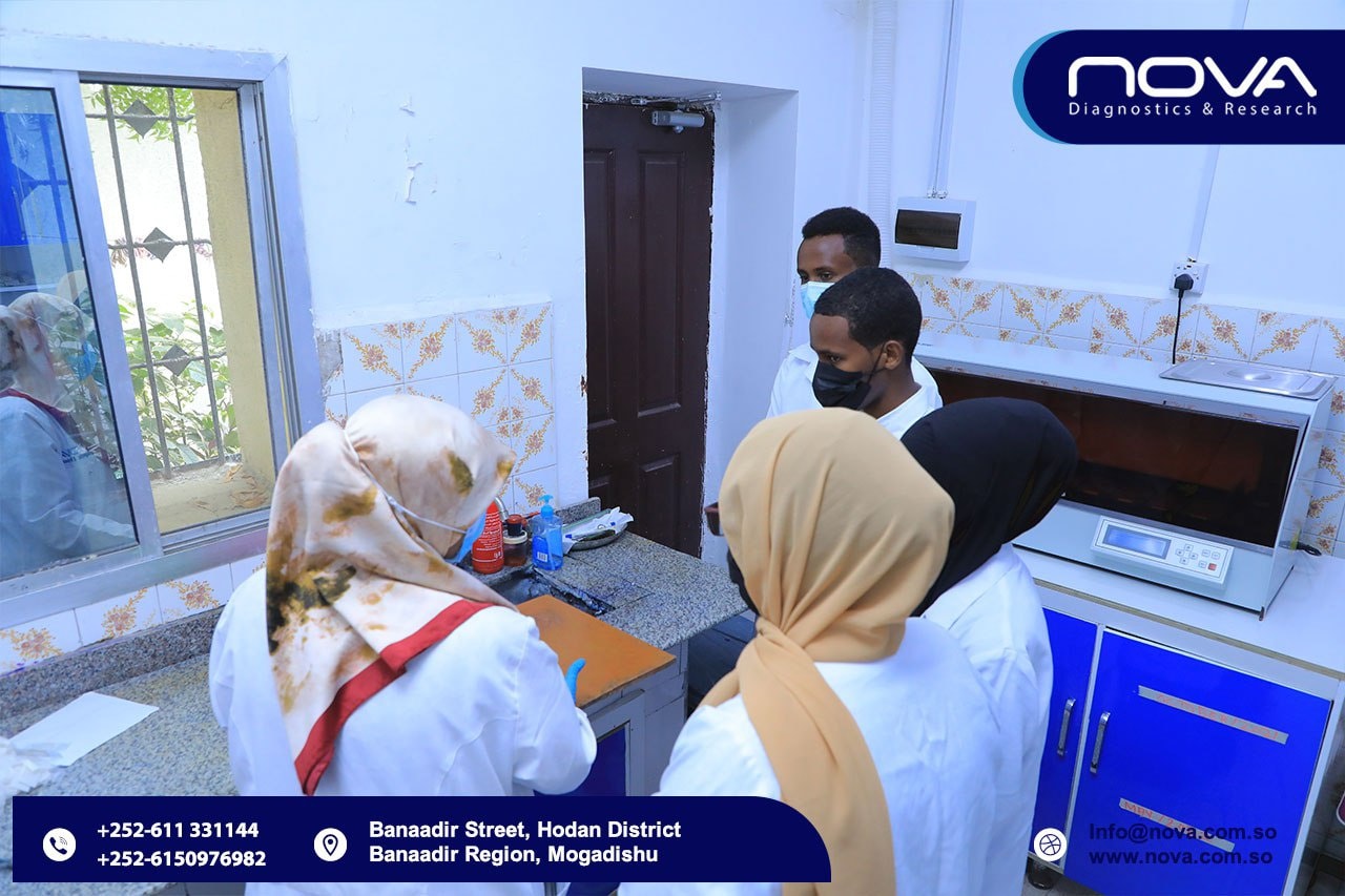 Nova Diagnostics & Research - Home