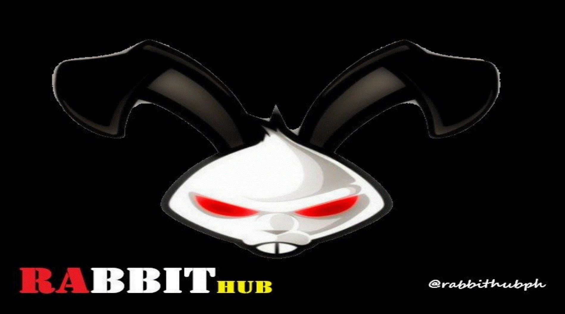 Rabbit HUB