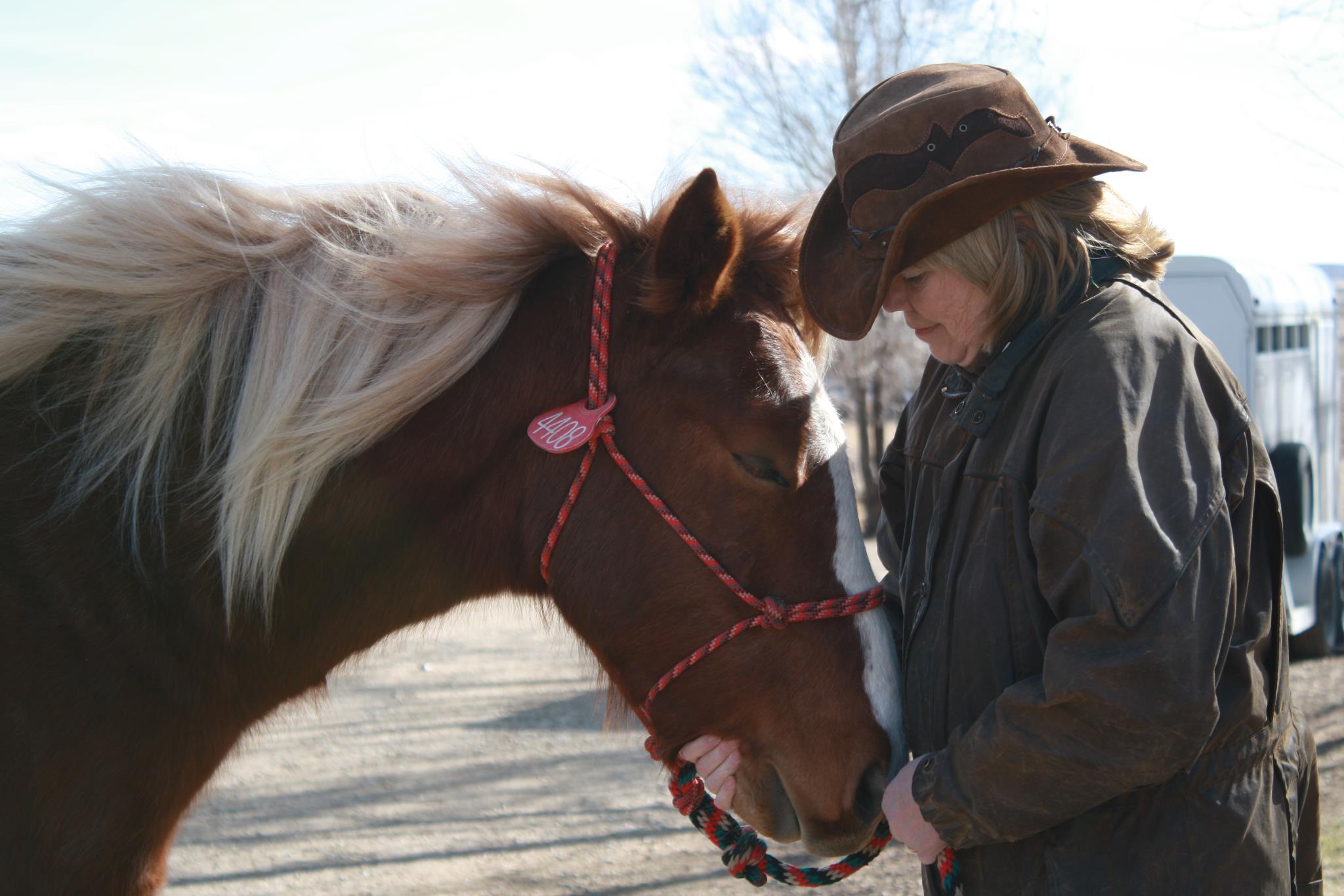 Marty the Mustang - So Joy posts these real boring photos of the day ...