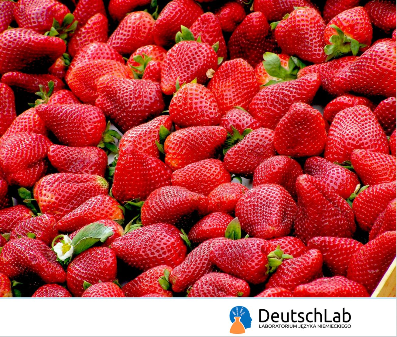 Deutschlab - Es ist DIE Zeit! Die Erdbeerenzeit!! 🍓🍓🍓Die schönste Zeit ...