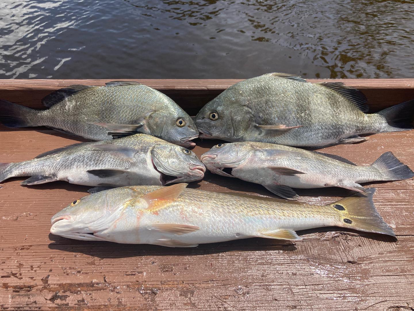 Full Send Fishing Co FL | Naples FL
