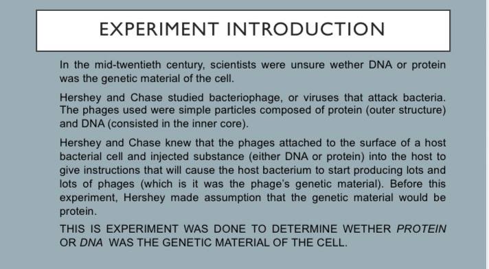 MSU Genetics
