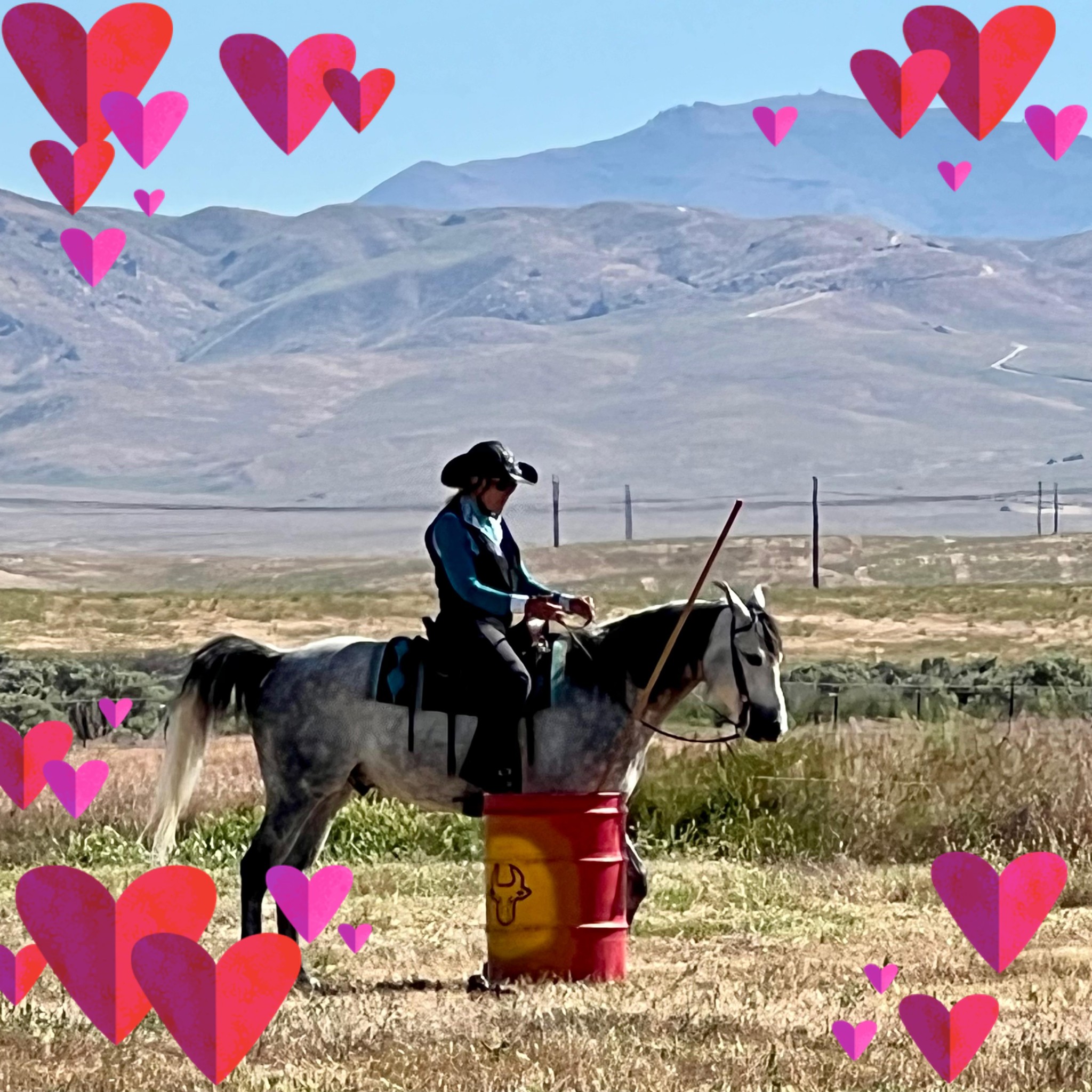 Working Equitation Team Idaho | ISO: | Facebook