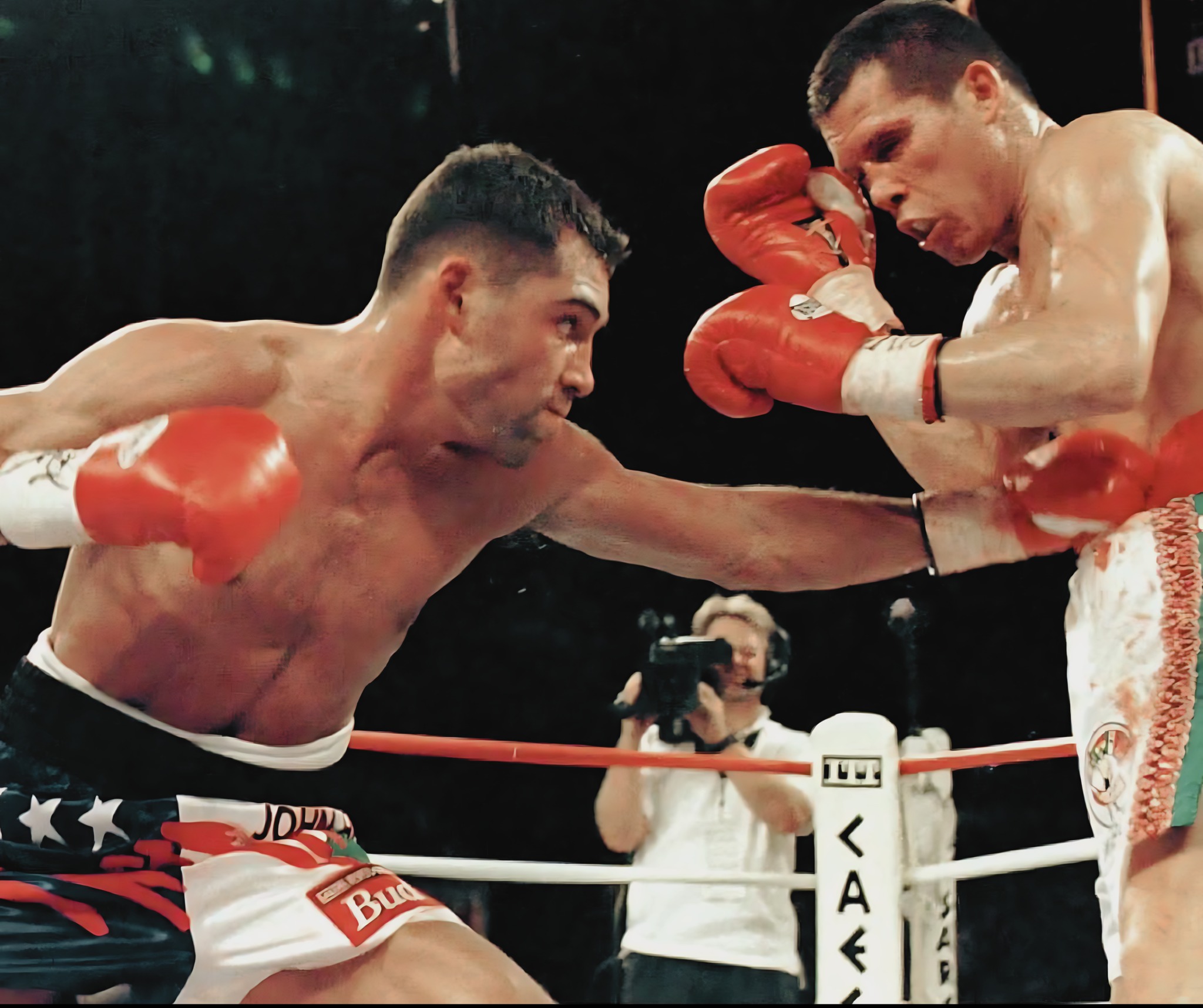 Oscar De La Hoya vs. Rafael Ruelas, billed as 