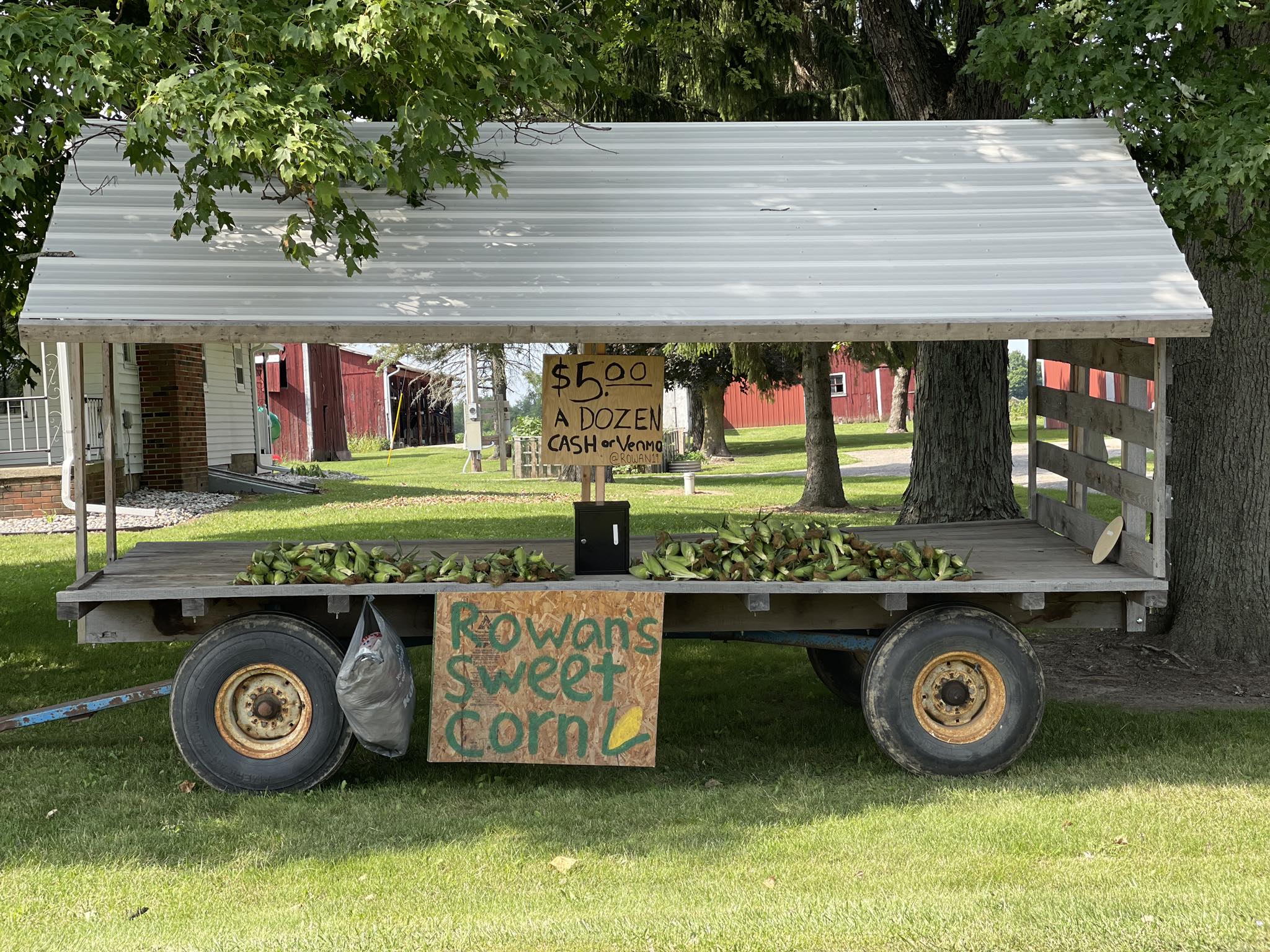 Rowan’s Sweet Corn | Lansing MI
