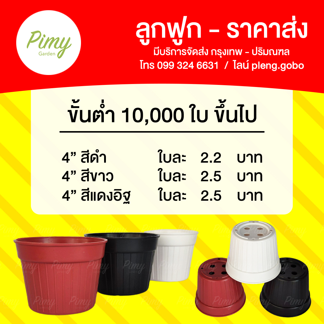 😎 กระถางลูกฟูก 4 นิ้ว... - Pimy Garden - กระถางต้นไม้พลาสติก