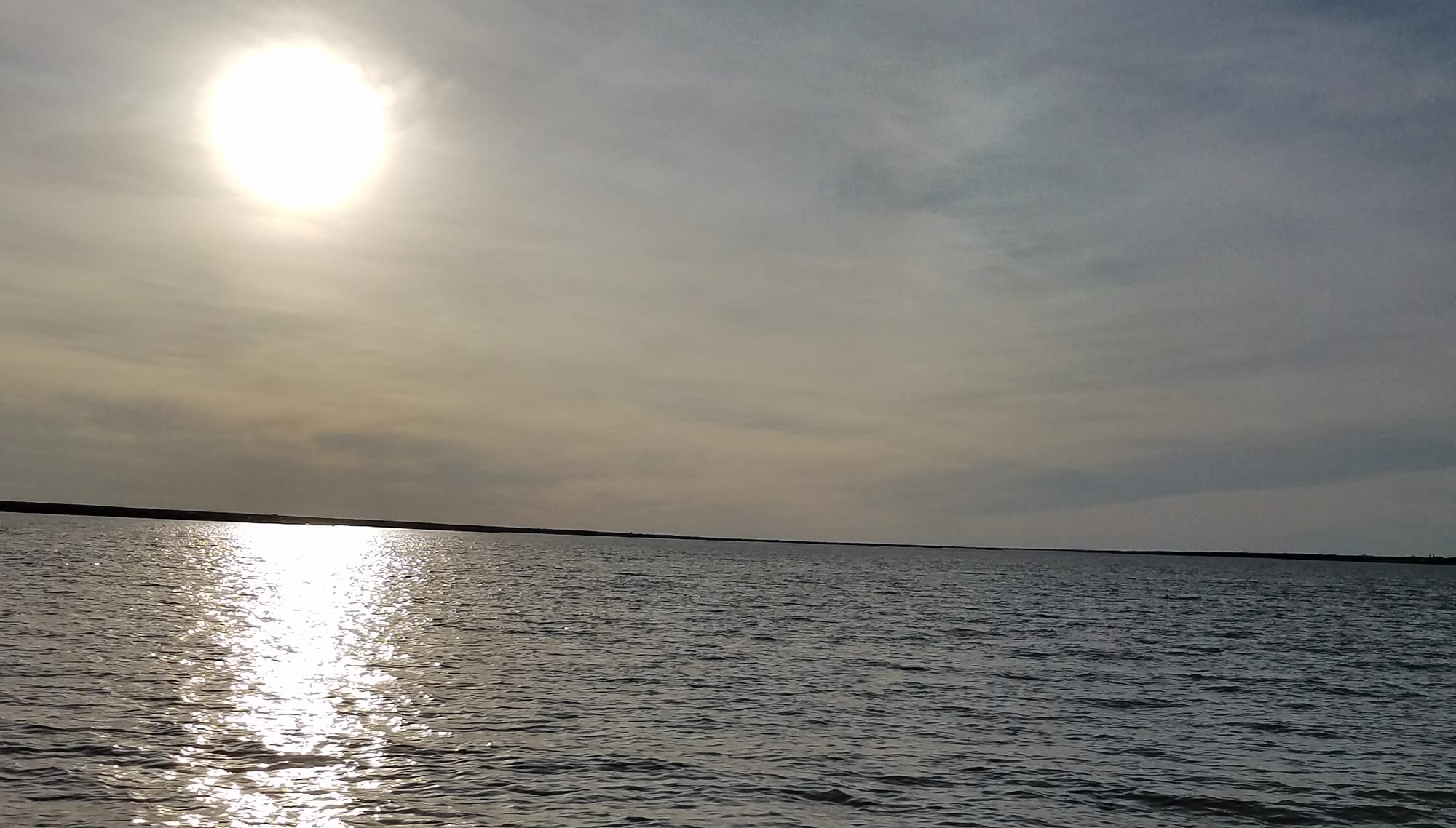 Hog Tide Fishing... - Hog Tide Fishing and Ocean Excursions
