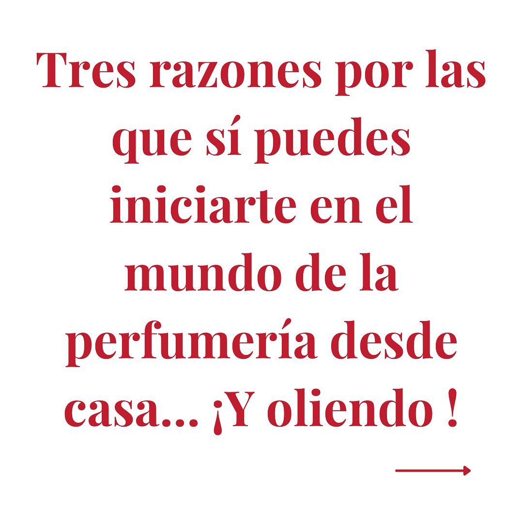 ¿Quieres saber... - Sandir - Olfactory branding & Training