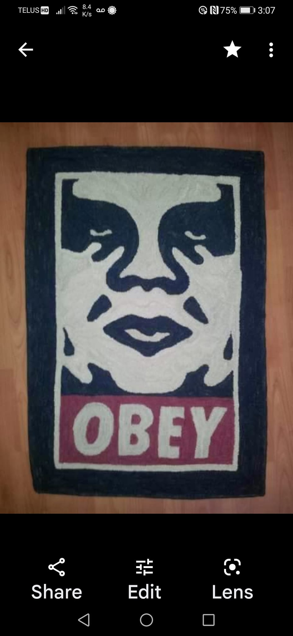 My hooked piece of Obey by Shepard Fairey. Love this piece Idid