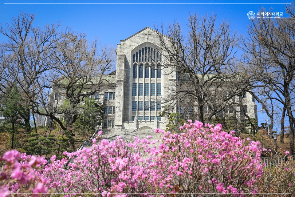[오늘자 이화캠] 이화꽃이 피었습니다!... - 이화여자대학교 Ewha Womans University | Facebook