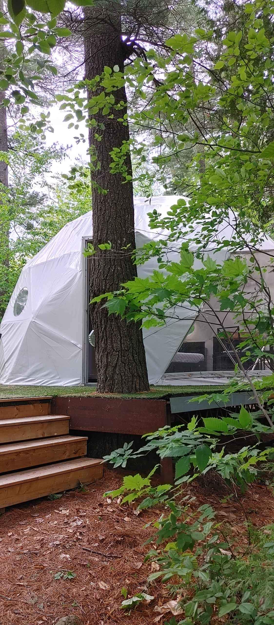 Dôme 4 saisons - Structures - Shawbridge, Quebec | Facebook Marketplace ...