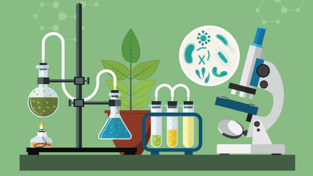 BioGeny - New Antimicrobial Strategy Silences NDM-1 Resistance Gene in ...