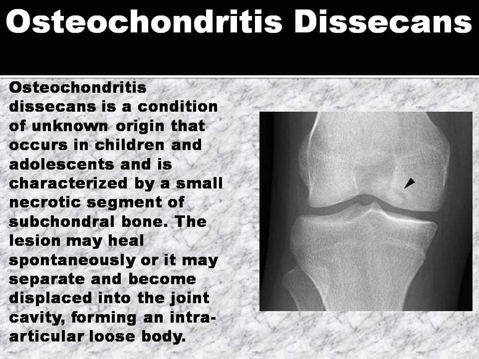 Radiology Insight added a new photo. - Radiology Insight