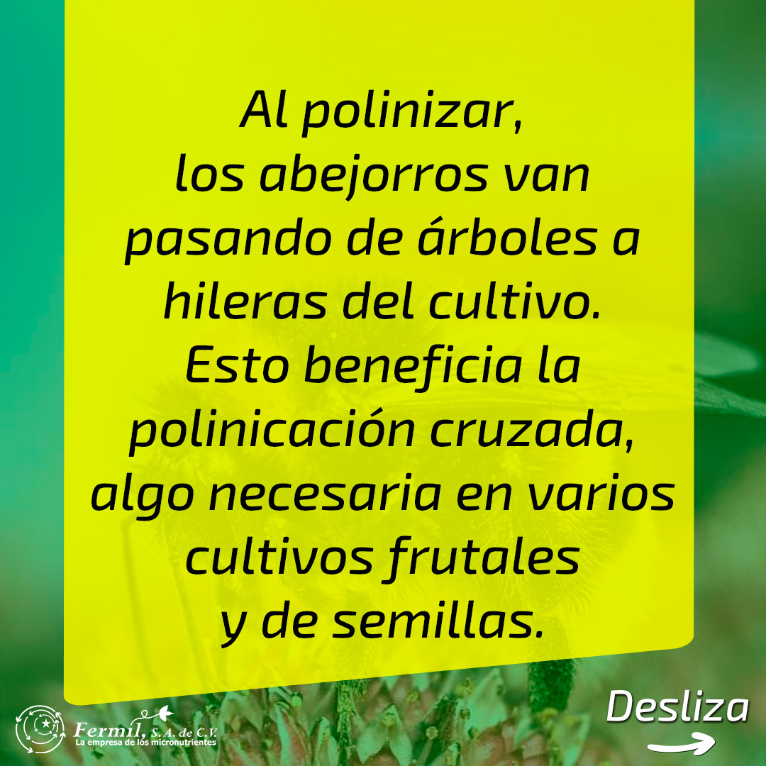 Fermil Fertilizantes