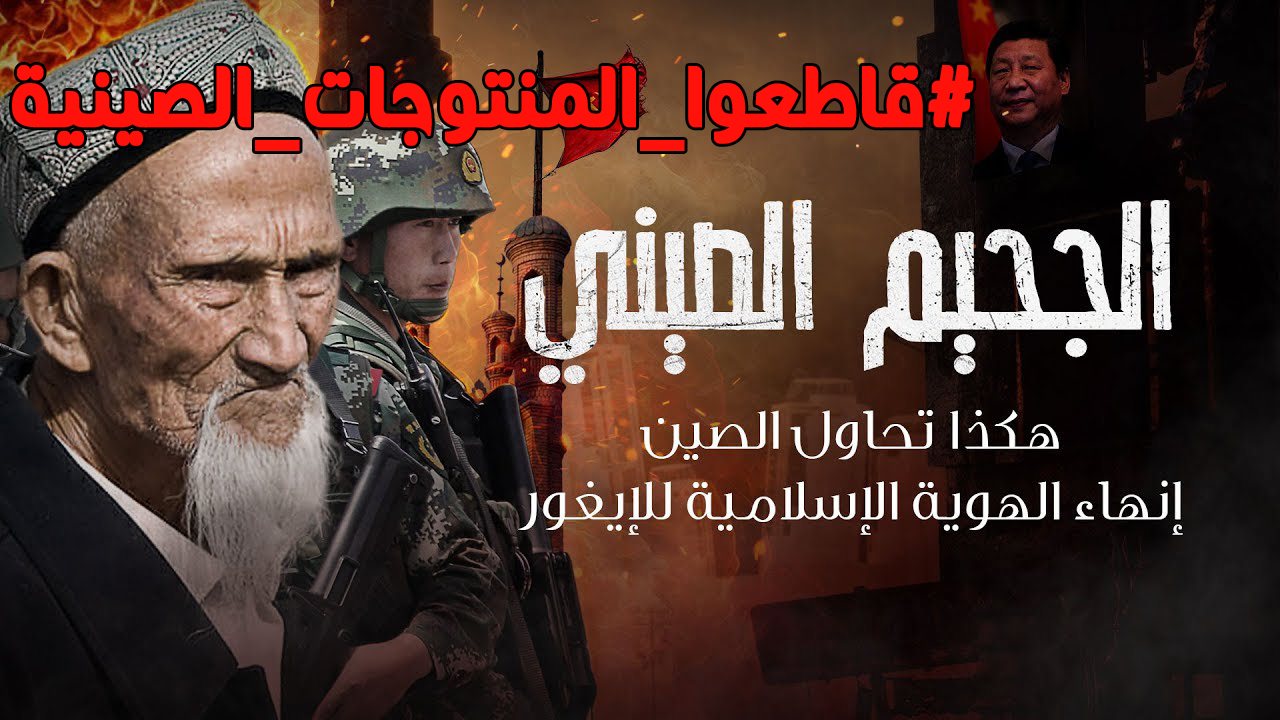 قصيدة ضحكت فقالوا ألا تحتشم للإمام الشافعي | #أنشودة #أناشيد كلمات ...