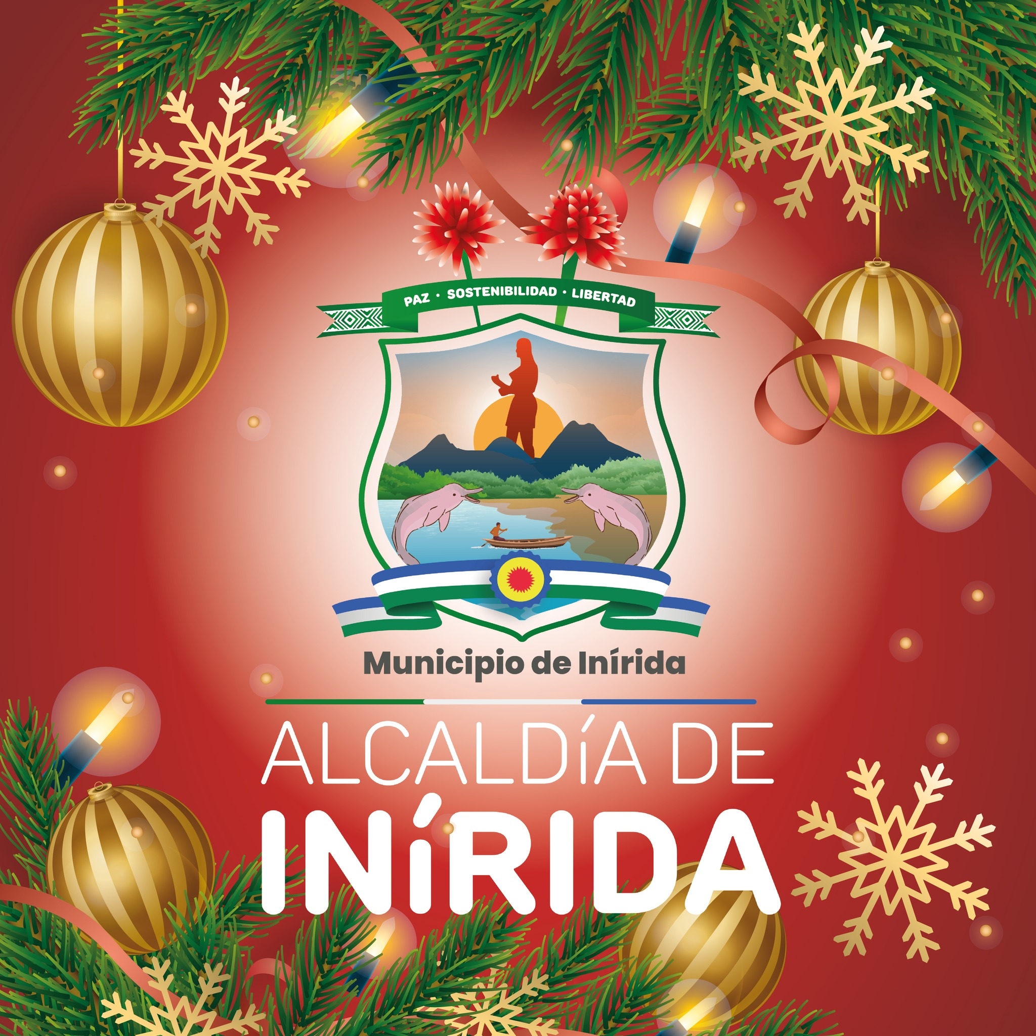 Alcaldía de Inírida | Inírida