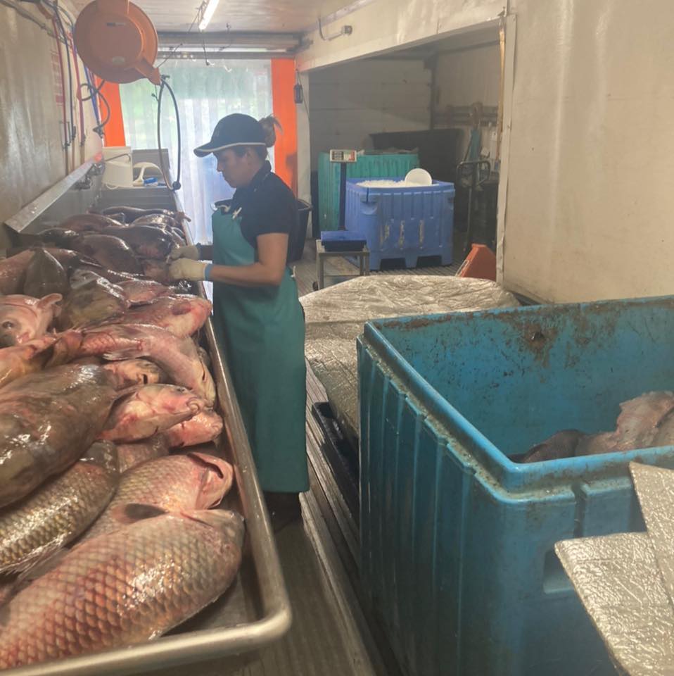 Tri State Fish market | South Pittsburg TN