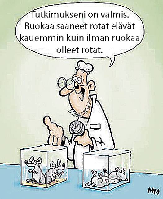 hermannin-viinitorni-added-a-new-photo-hermannin-viinitorni