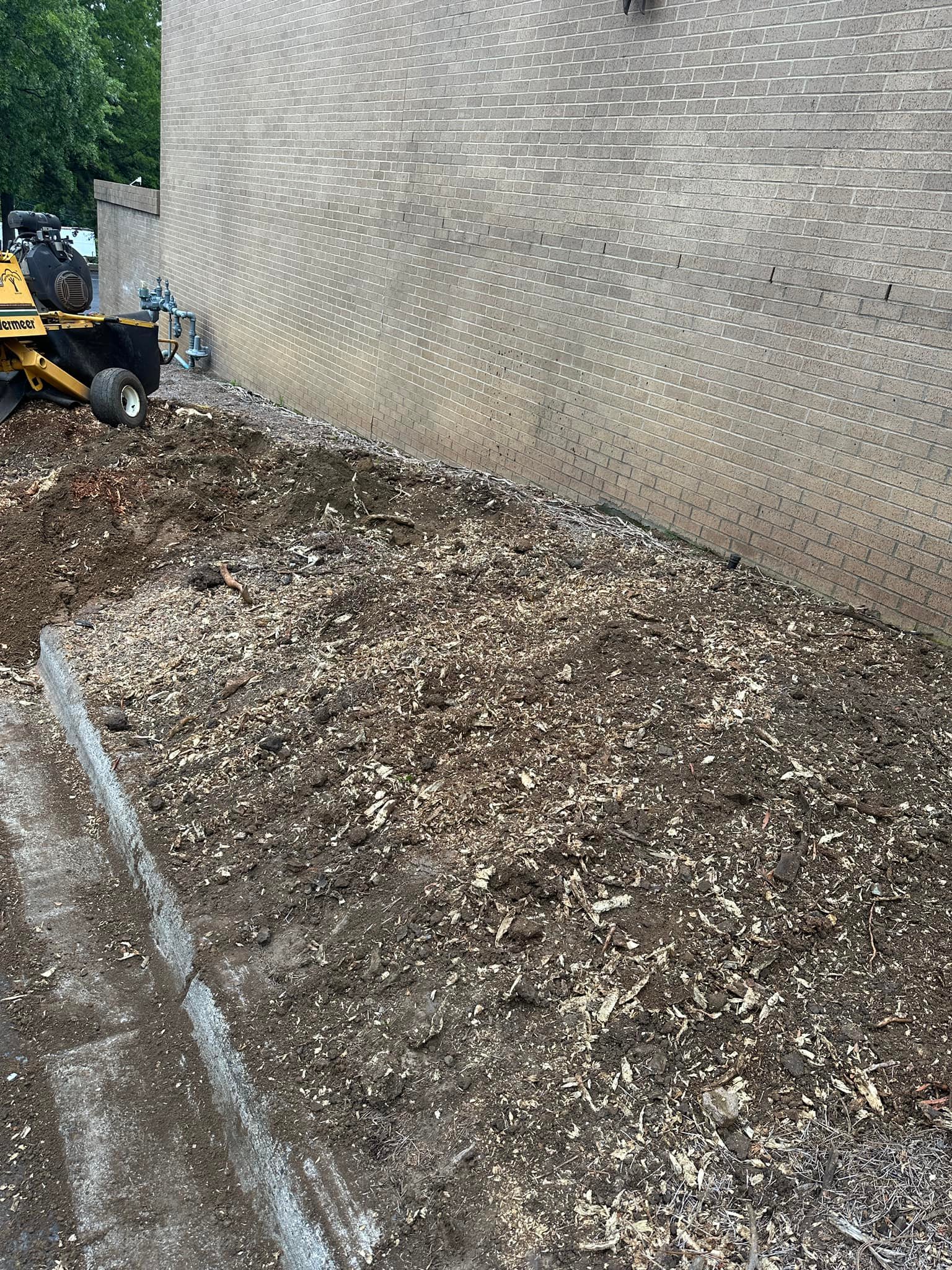 All-American Stump Grinding & Removal | Dallas NC